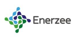 CotaBronza_Logo_Enerzee_RGB_Horizontal-01